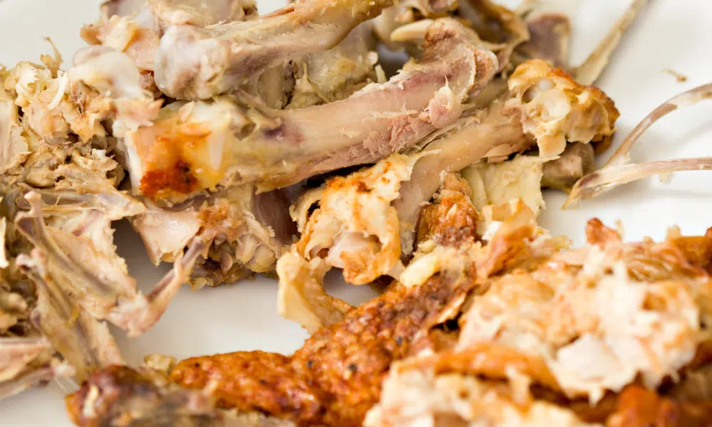 Cooked bones that cats and dogs shouldn't eat