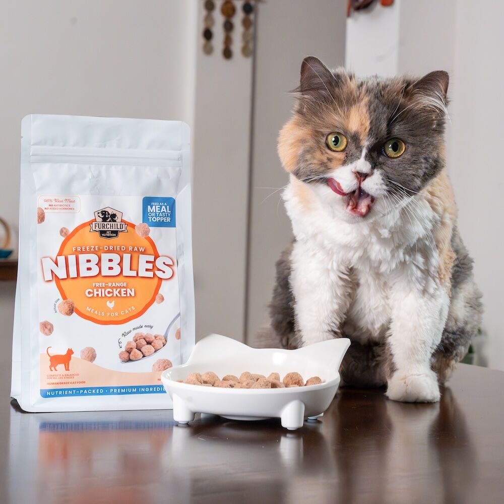 Freeze-dried Feeding Tips