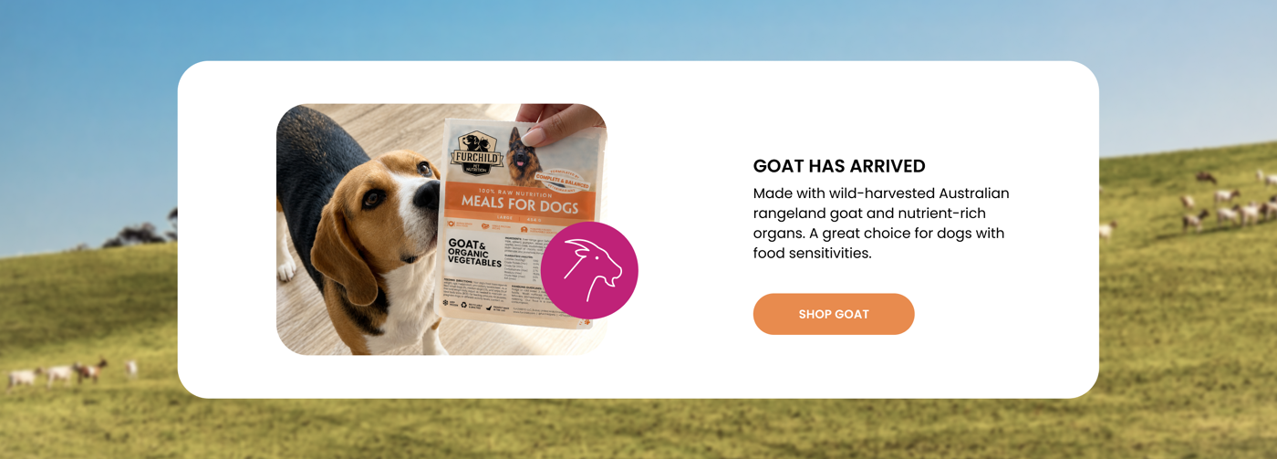 Goat has arrived - made with wild-harvested Australian rangeland goat and nutrient-rich organs.