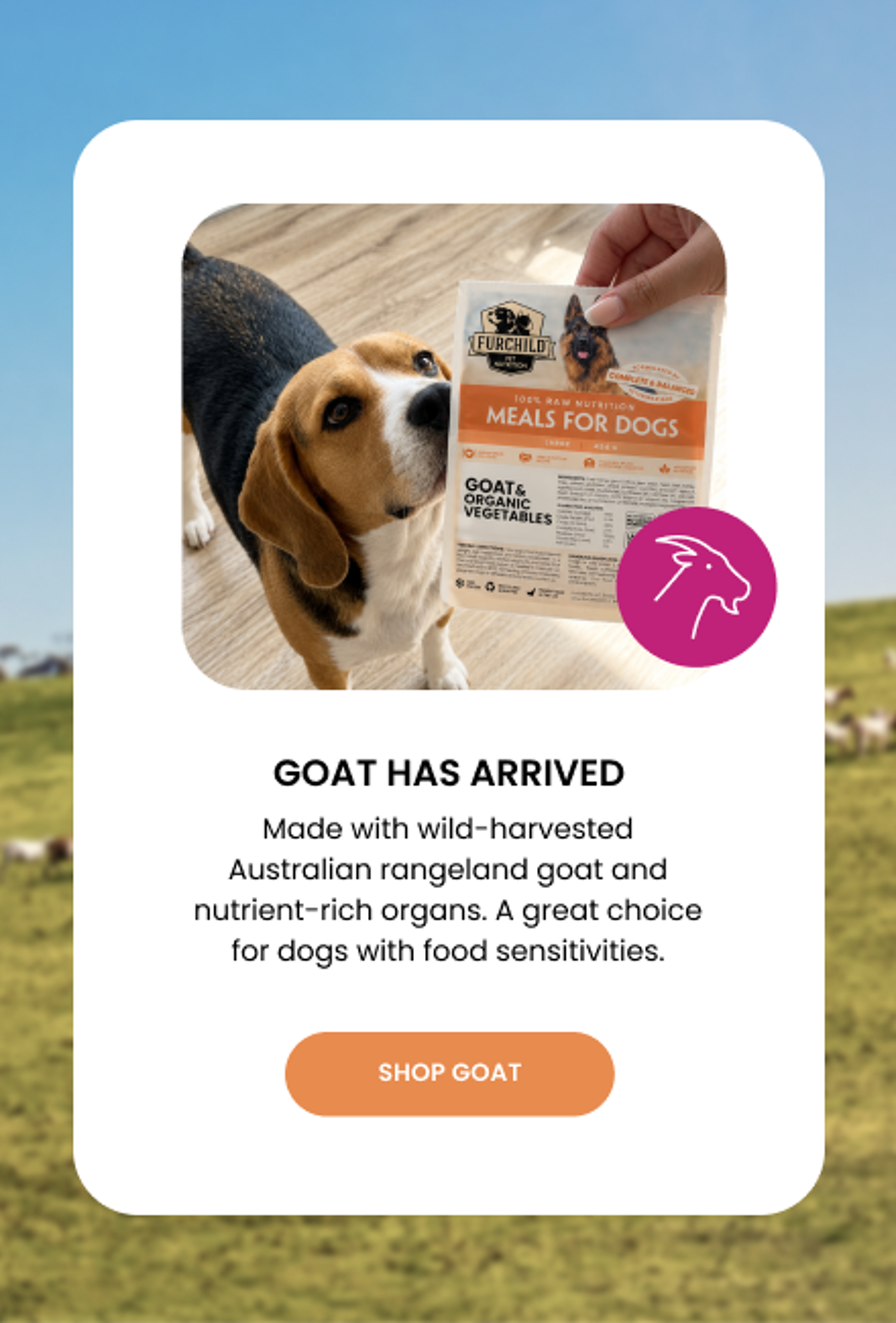 Goat has arrived - made with wild-harvested Australian rangeland goat and nutrient-rich organs.