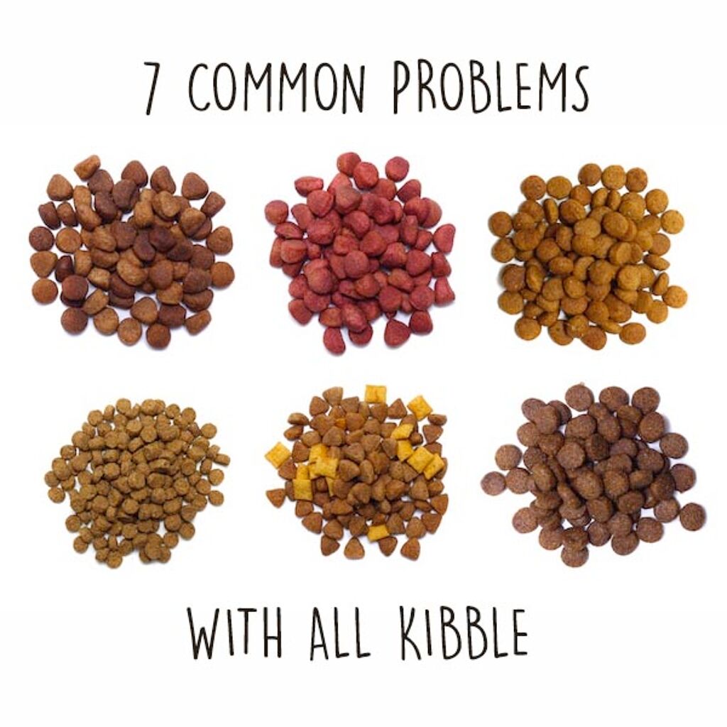 7 Common Problems with All Types of Kibble