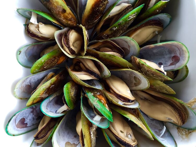 Green Lipped Mussels A 'Superfood' for Pets