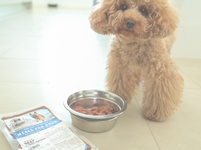 Best dog food 2024 for picky poodles