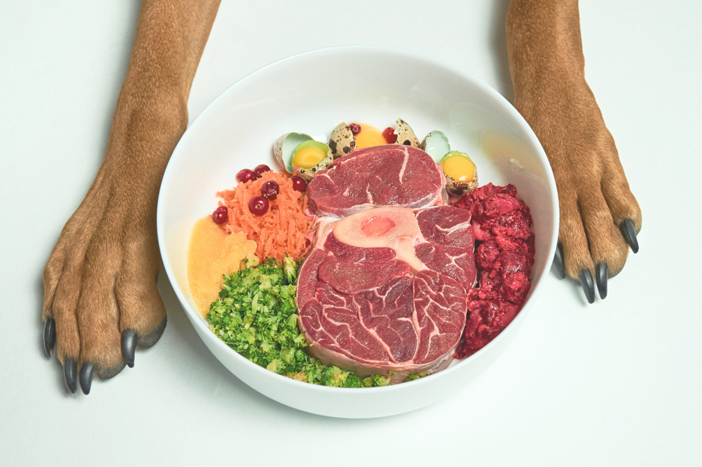 Cooked or raw meat for clearance dogs