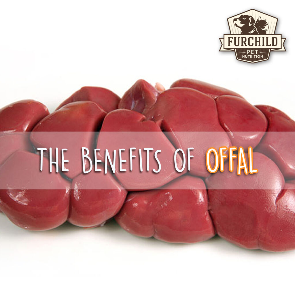 The Benefits of Offal