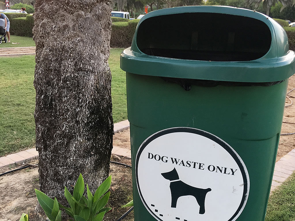 What Should Raw Fed Dog Poop Look Like