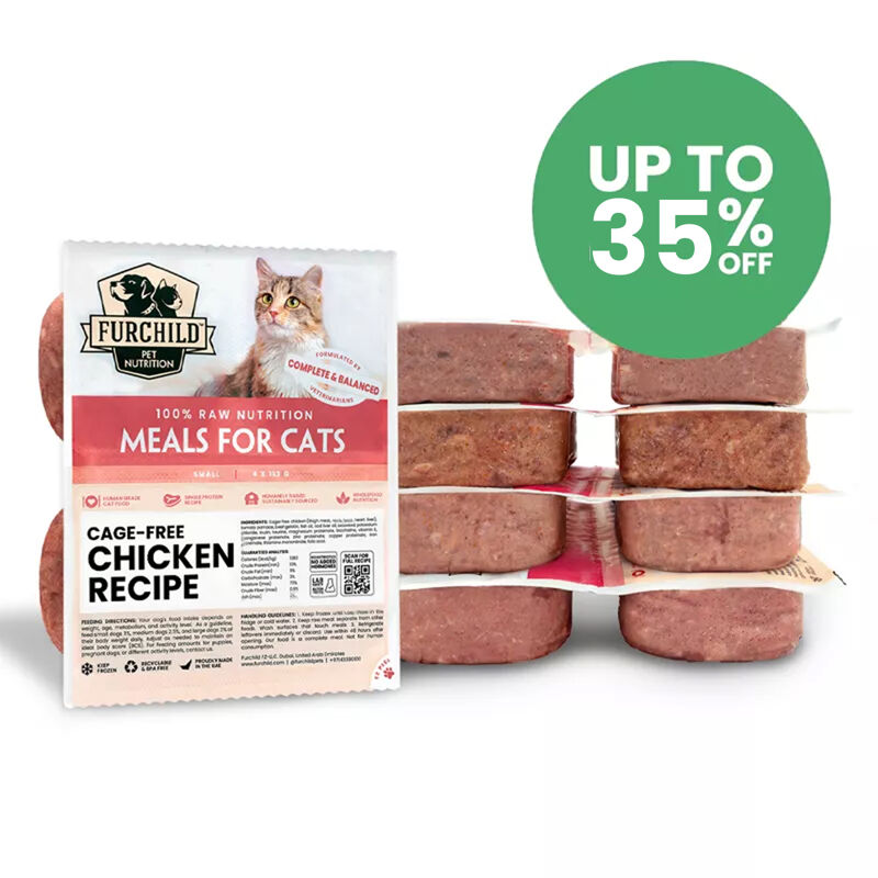 Personalized Meal<br/> Plan for Cats