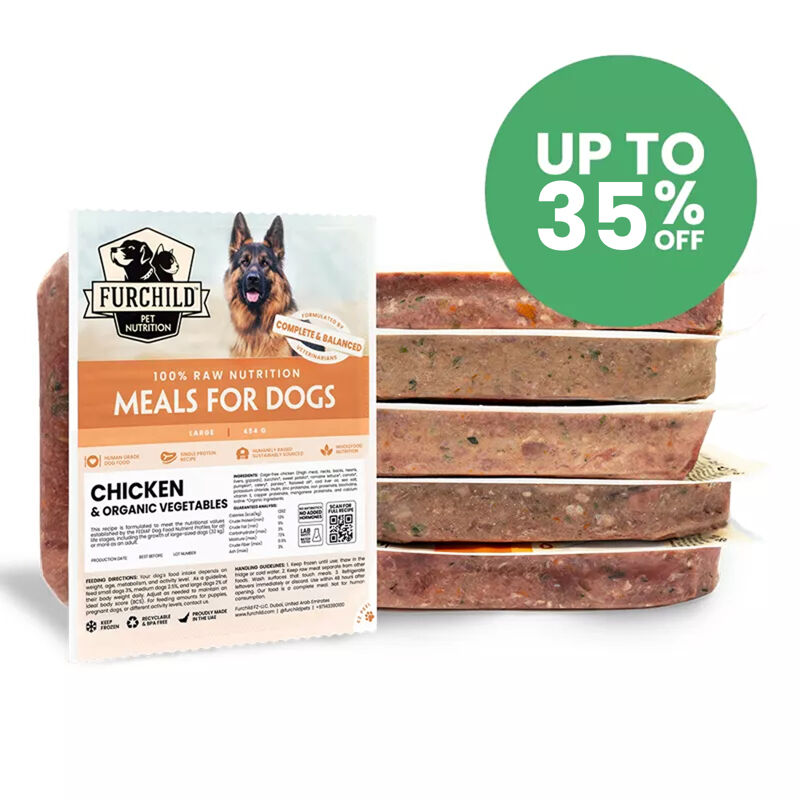 Personalized Meal<br/> Plan for Dogs