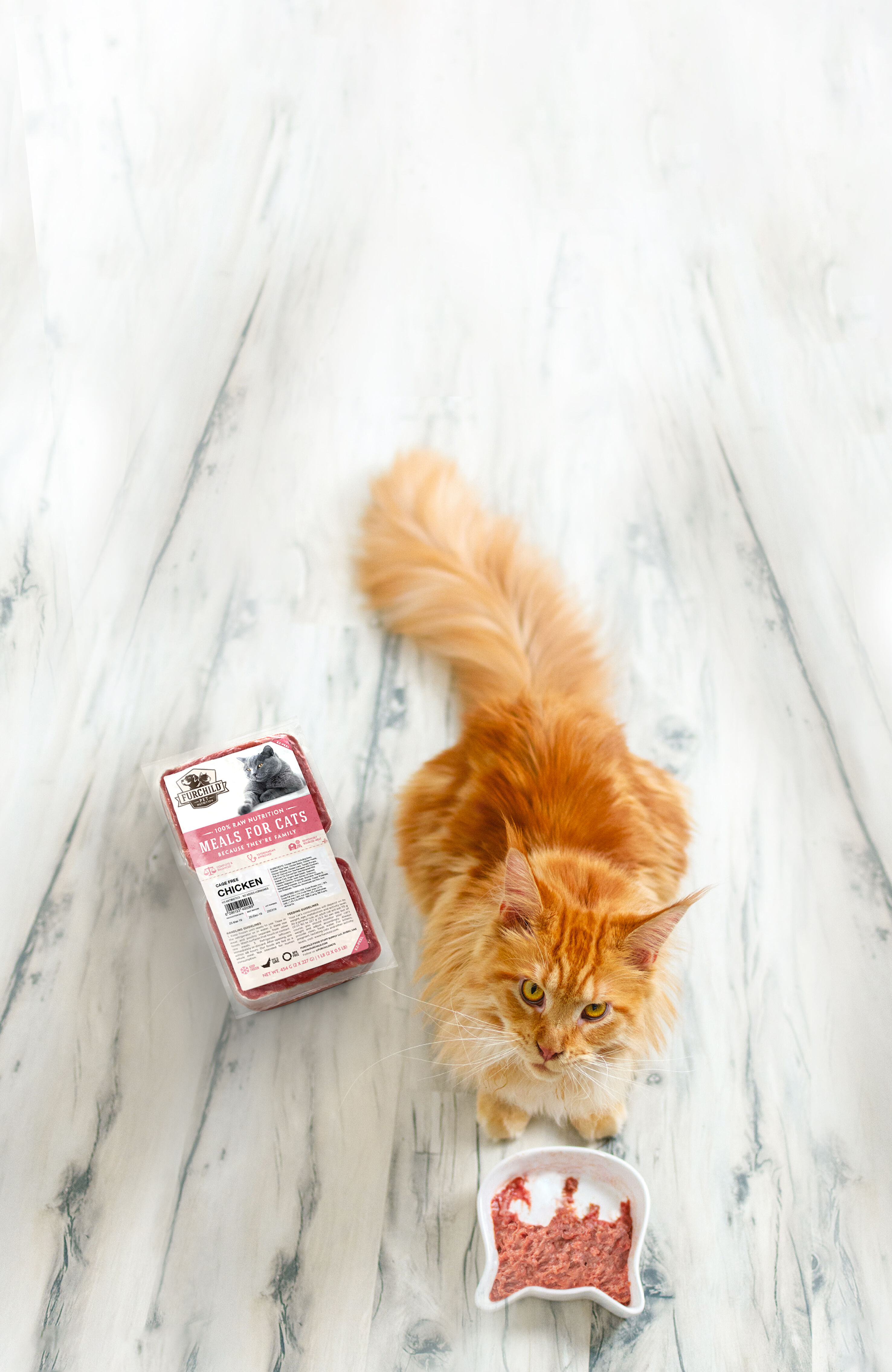 Raw Dog Food Raw Cat Food UAE s 1 Raw Pet Food Company