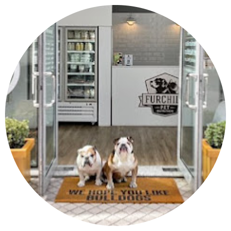 Dog Food Store