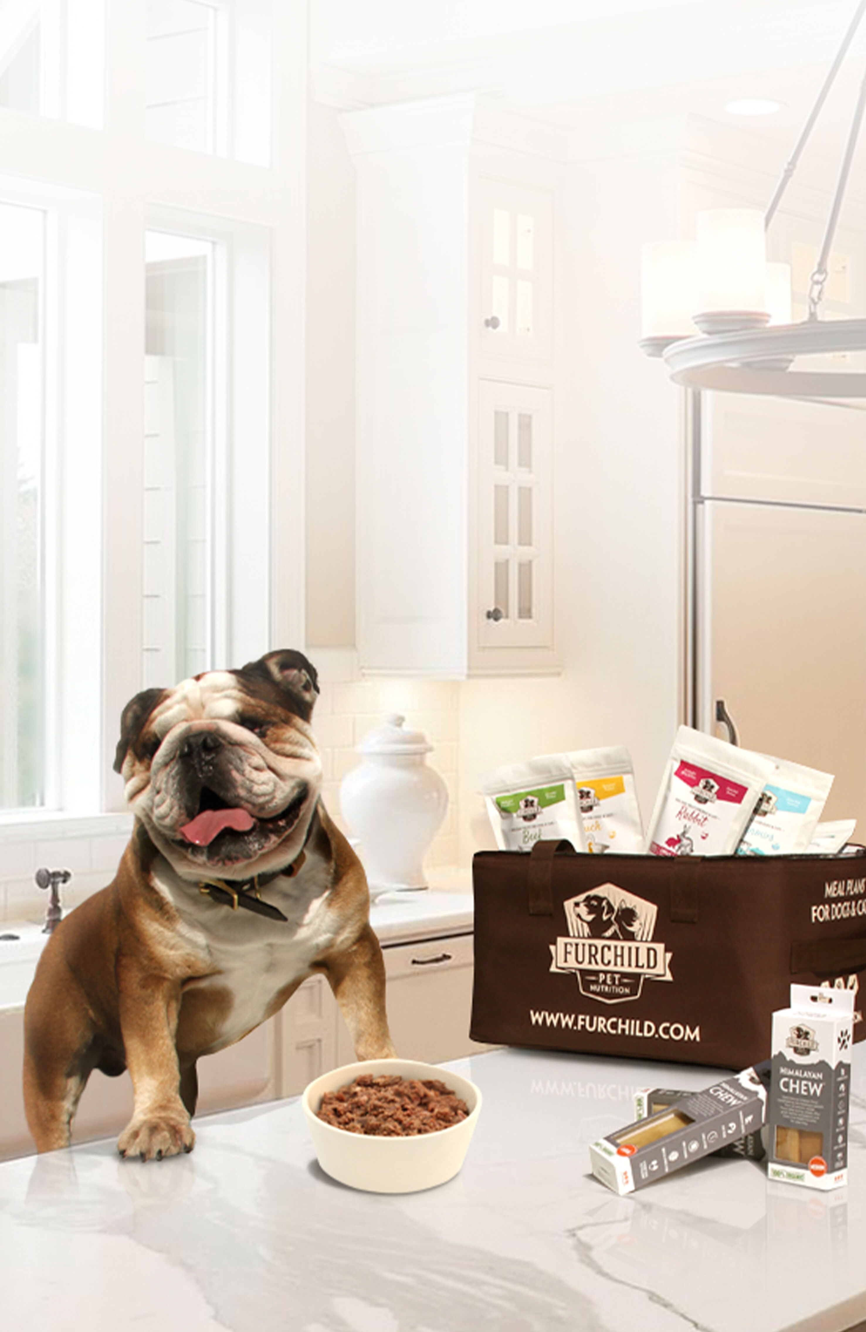 Order raw hotsell dog food