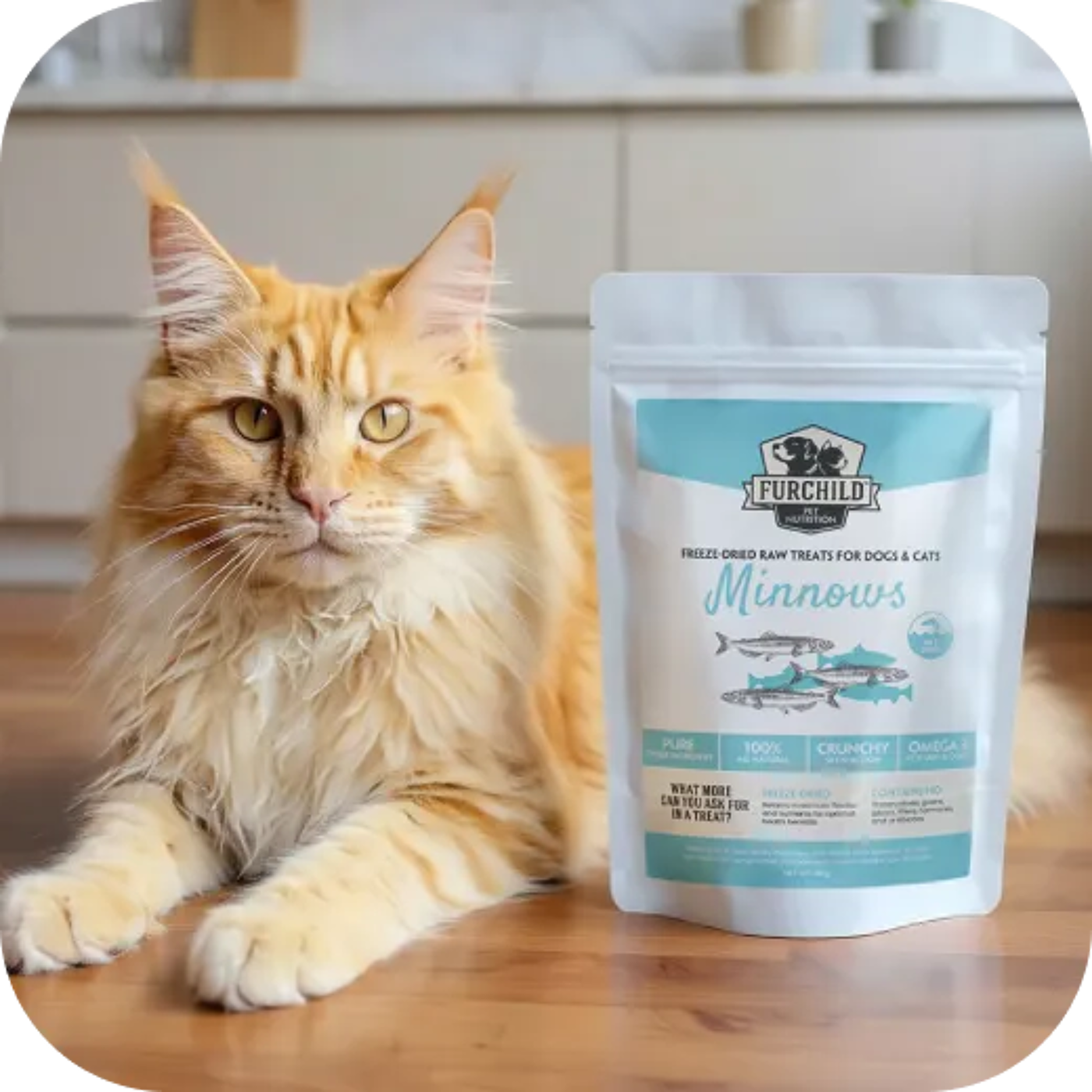 Freeze-dried Cat Treats