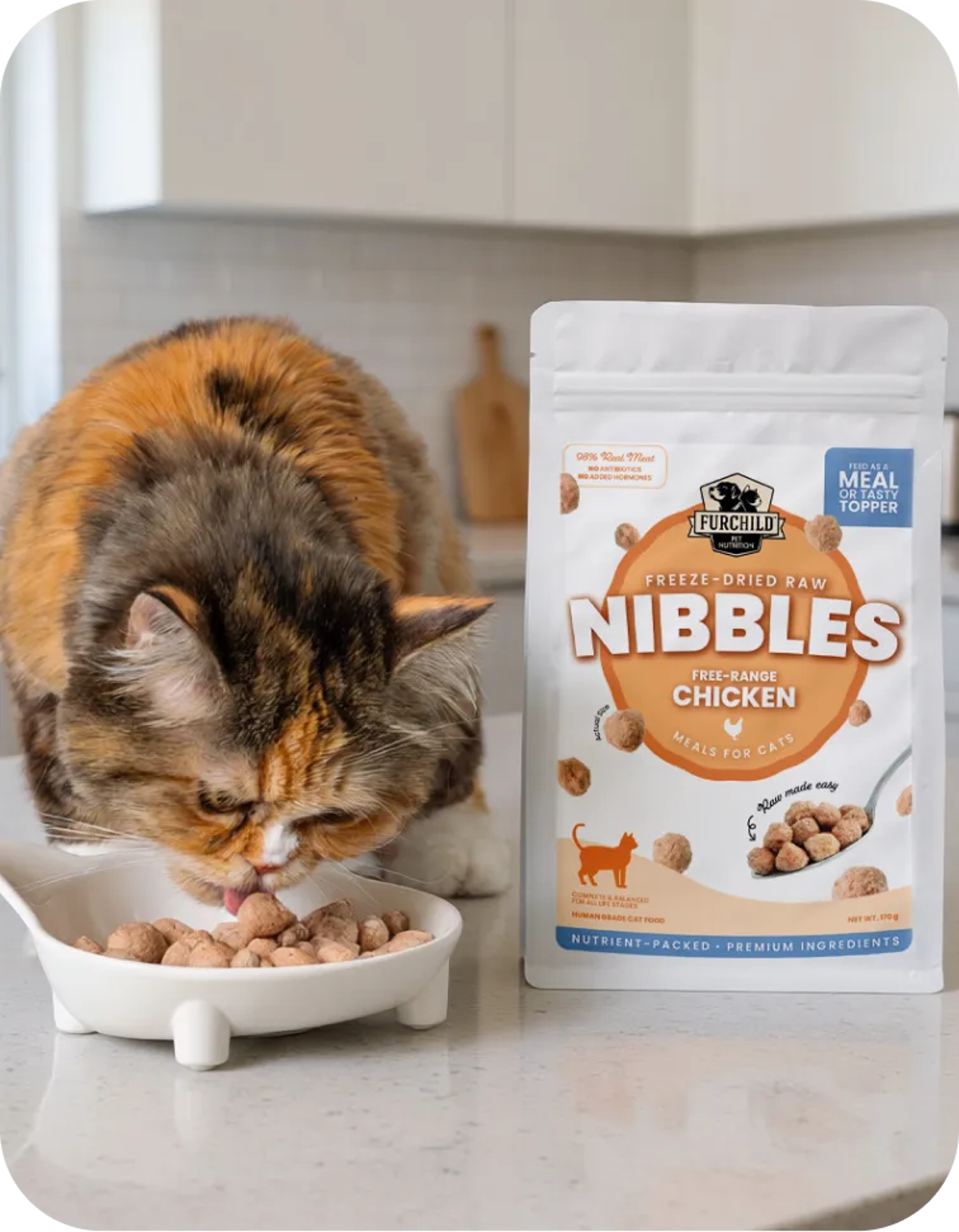 Freeze-dried Food For Cats