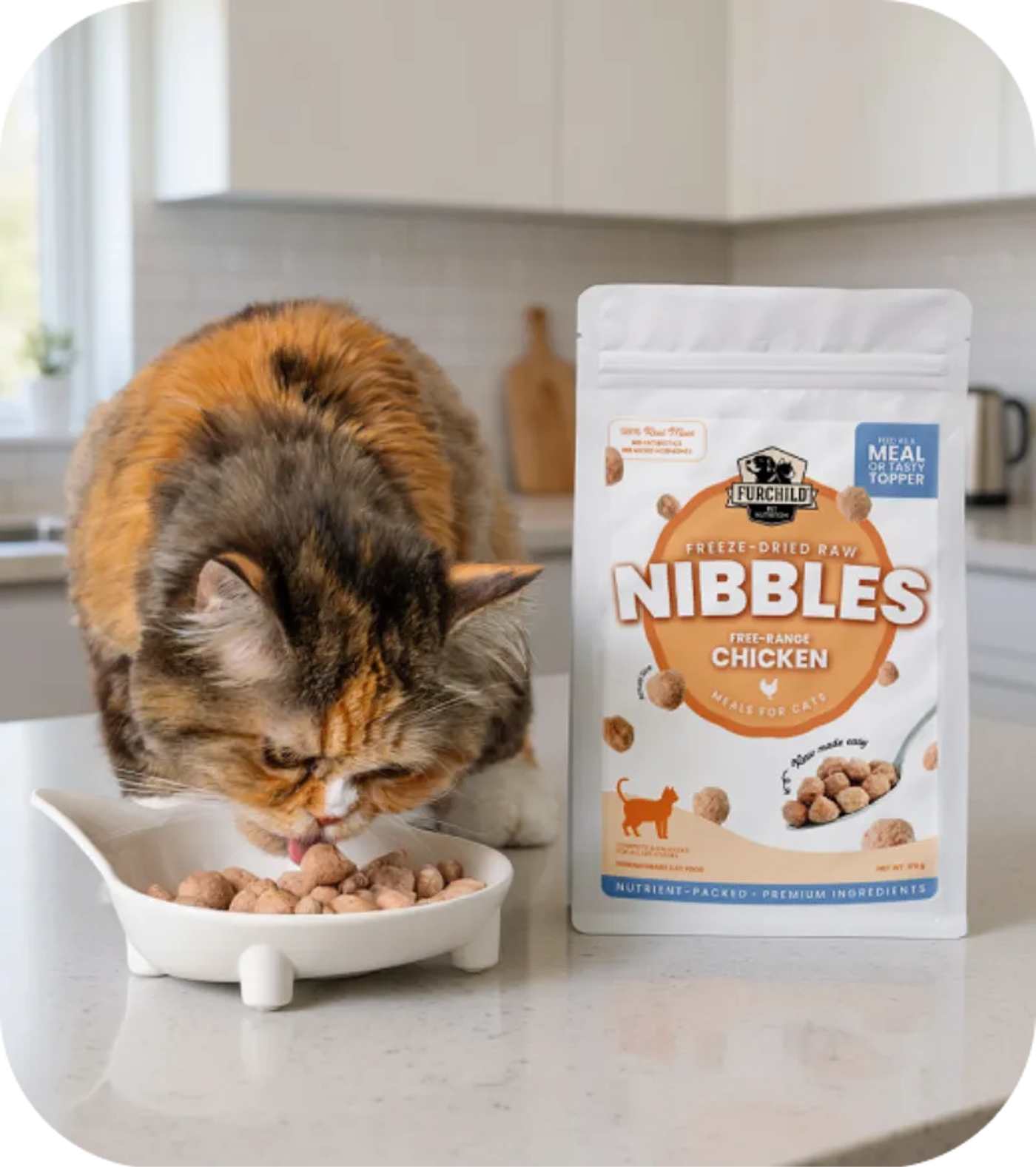 Freeze-dried Food For Cats