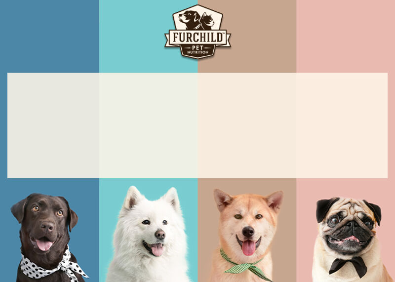 Gift Card for Dogs