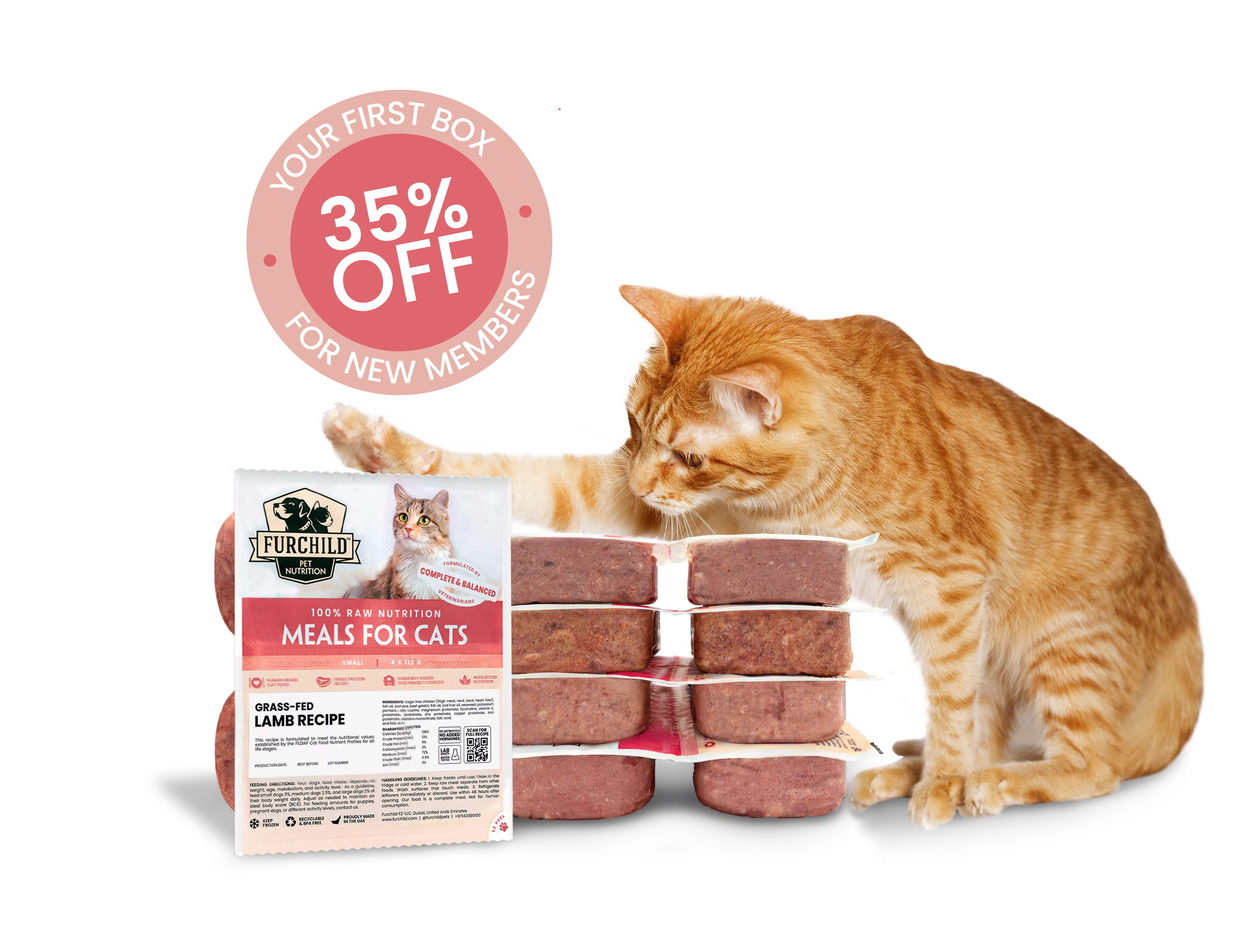 Fresh Food for cats
