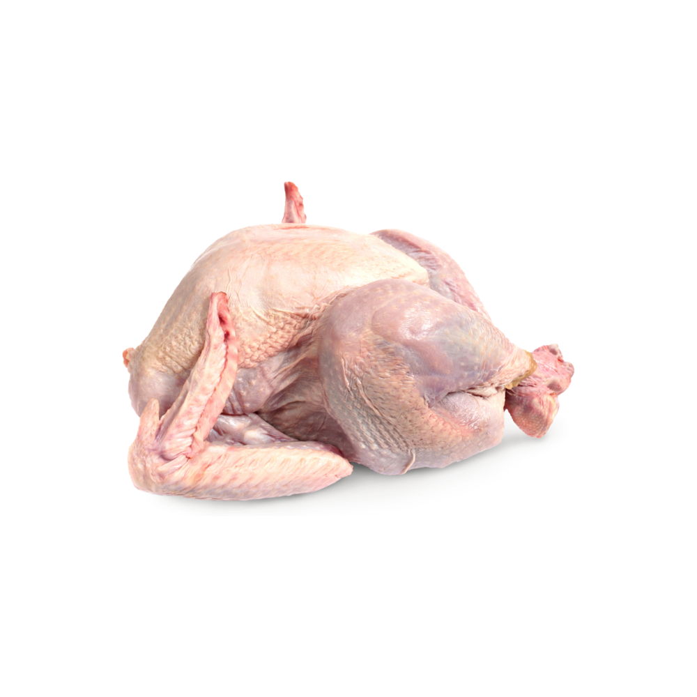 Our humanely raised turkey is farm-raised, hormone-free and antibiotic-free. Responsibly sourced from France. 
 