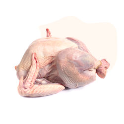 Our humanely raised turkey is free-range, farm-raised, hormone-free, and antibiotic-free responsibly sourced from France. 