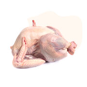 Our humanely raised turkey is free-range, farm raised, hormone-free and antibiotic-free responsibly sourced from France. 