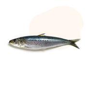 A great source of omega-3 fatty acids, EPA, and DHA to support healthy cells, skin and coat, joints, heart, brain, eyes, and energy levels.