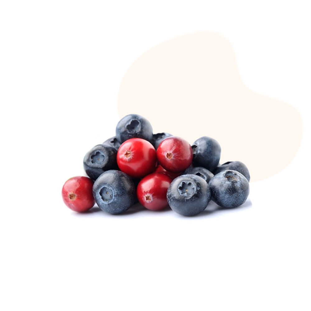Our Organic Blueberries and Organic Cranberries are a great source of antioxidants, Vitamin C and fiber.