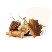 Inulin, an extract of the chicory root, is a soluble fiber which serves as a prebiotic and a natural source of Vitamin C. 