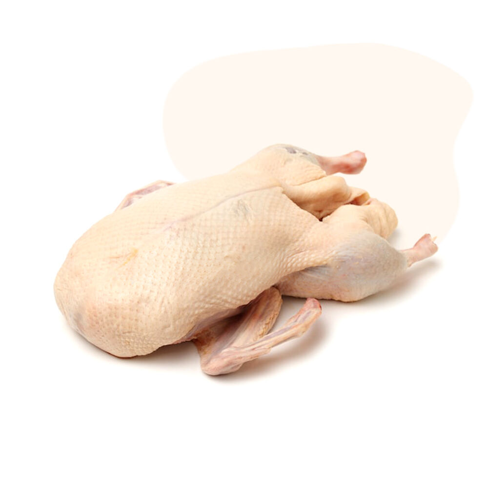 Responsibly sourced from France, our humanely raised Duck is human-grade, hormone-free and antibiotic-free.