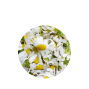 Remarkable medicinal properties to heal wounds, soothe skin irritations, & ease discomfort