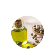 Potent antioxidant with prostaglandin medicating & anti-inflammatory properties