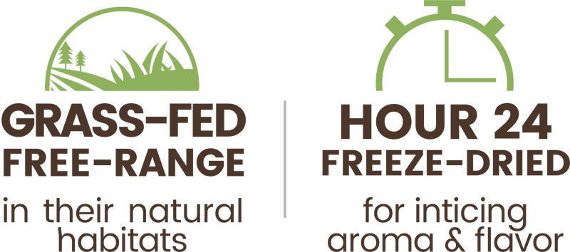Premium Freeze-dried Grass-fed Beef Treats