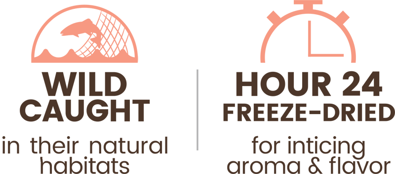 Premium Freeze-dried Wild-caught Salmon Treats