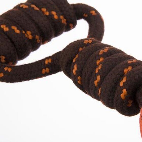 Ball on a hot sale string dog toy