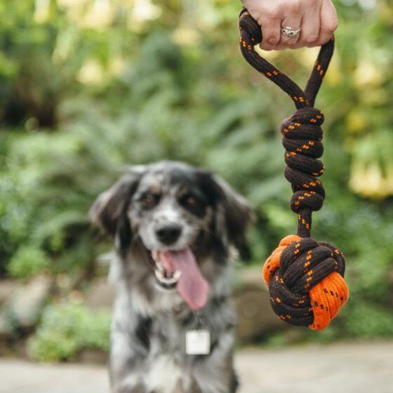 Tug ball dog deals toy