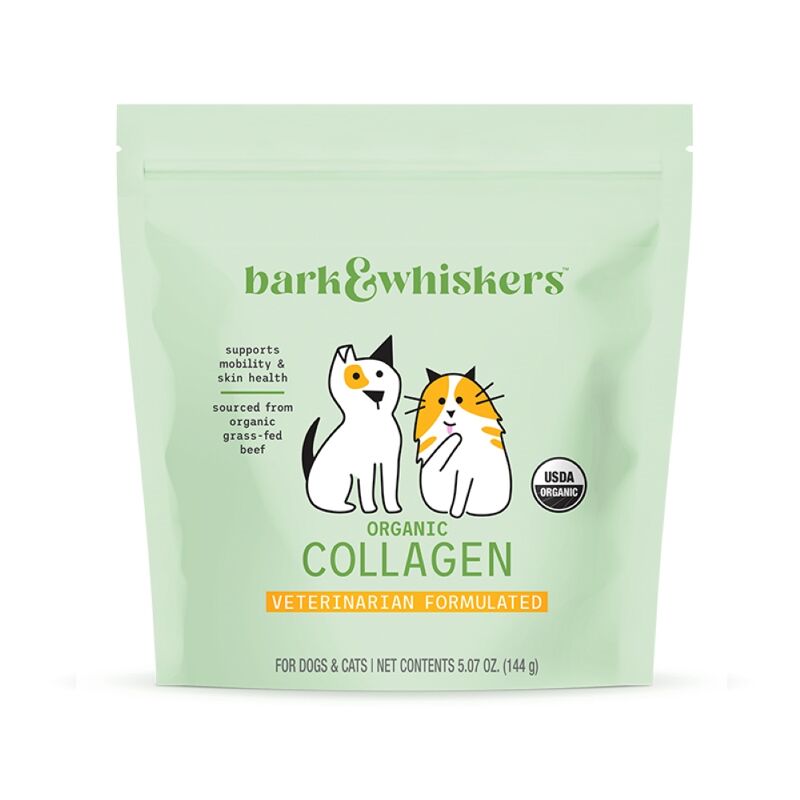 Collagen Guide For Dogs: Benefits, Types, Sources