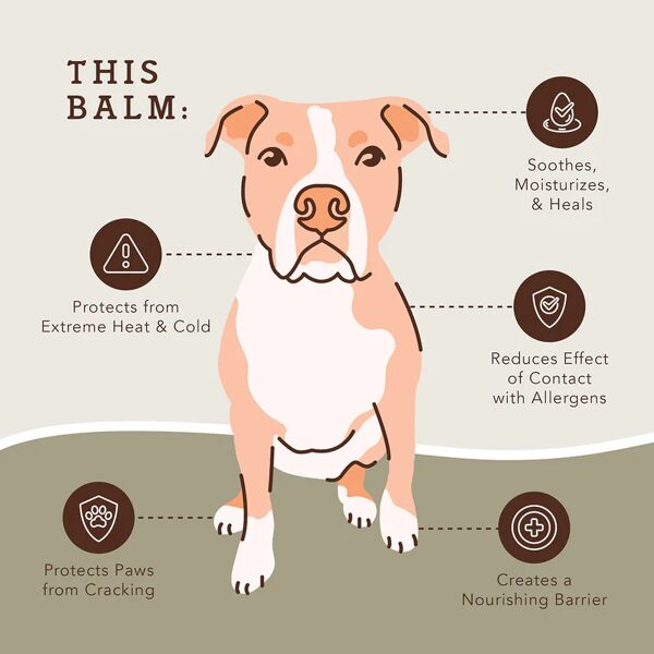 Organic dog paw balm best sale