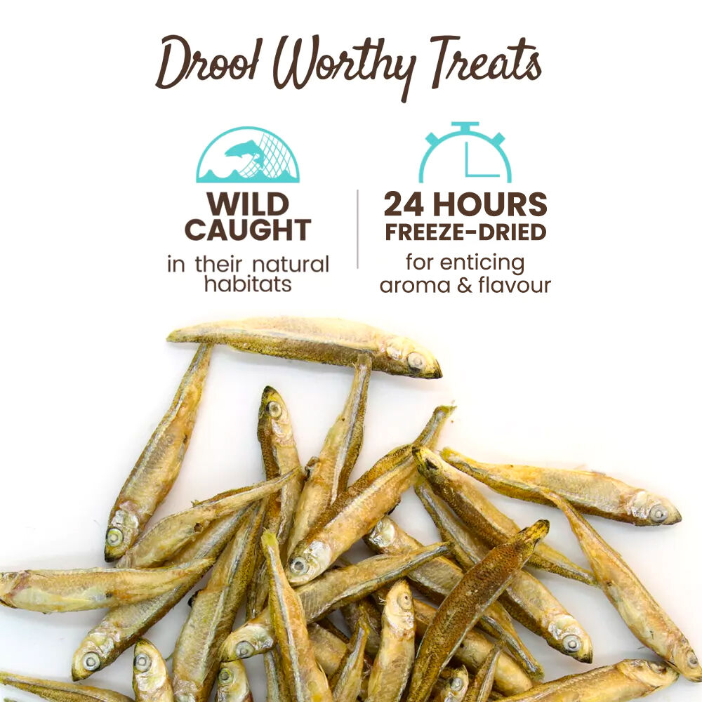 Freeze hotsell dried minnows