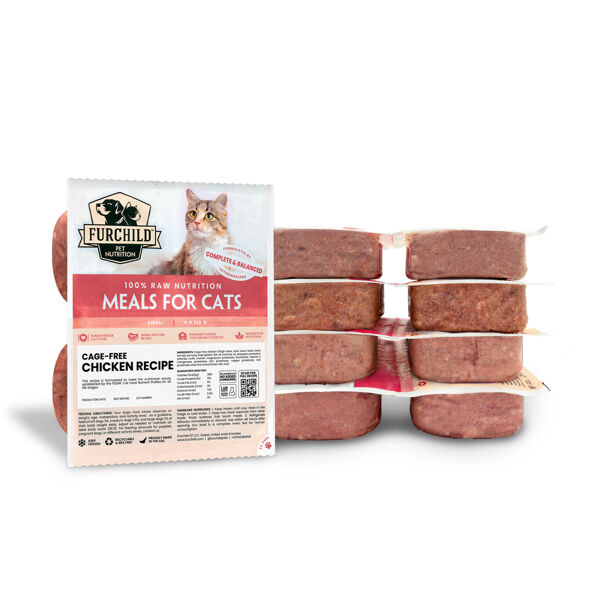 Raw Starter Kit for Cats