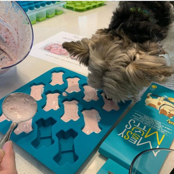 sofliym Mini Bone Silicone Dog Treat Molds with Scraper - Create Adorable  Homemade Dog Treats for Your Furry Friend (small bone) - Yahoo Shopping