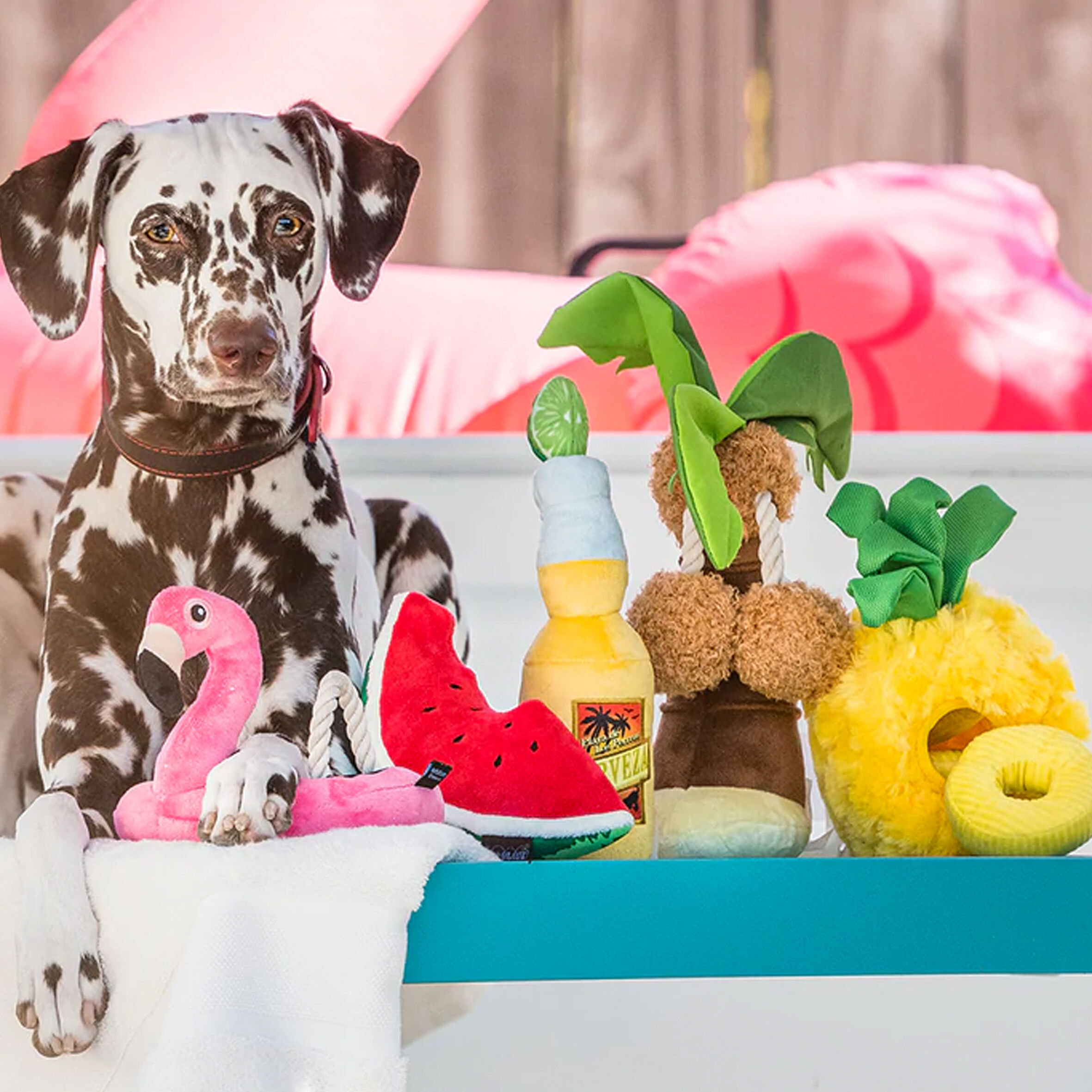 Tropical Paradise Plush Toy Collection for Dogs Online - Furchild