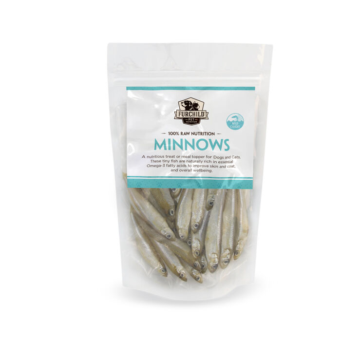 Pet Minnows Pet Fish Live Shrimp Barb Goldfish Minnows Betta