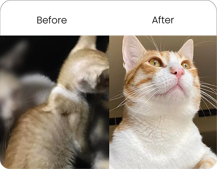 A Kitty Makeover