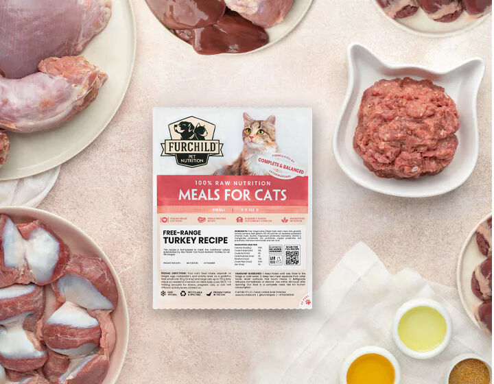 1. WHISKER-LICKING RECIPES