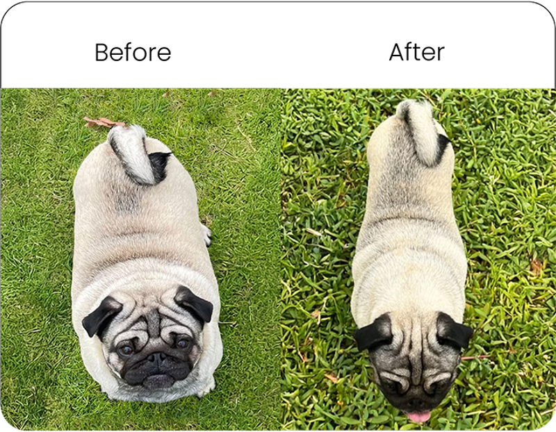 Weight Loss Achieved