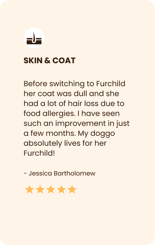 Furchild's Dog Food Effects on Skin & Coat