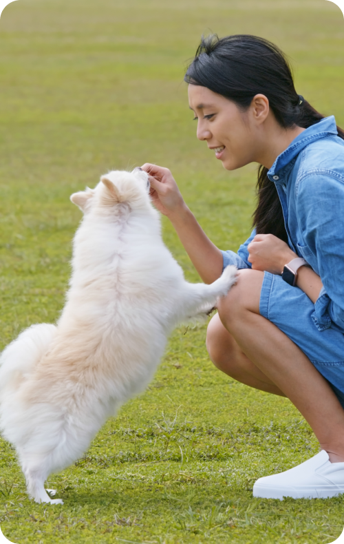 Dog's Skin & Coat Review By Jessica