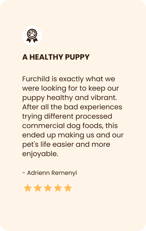 Healthy Dog Food