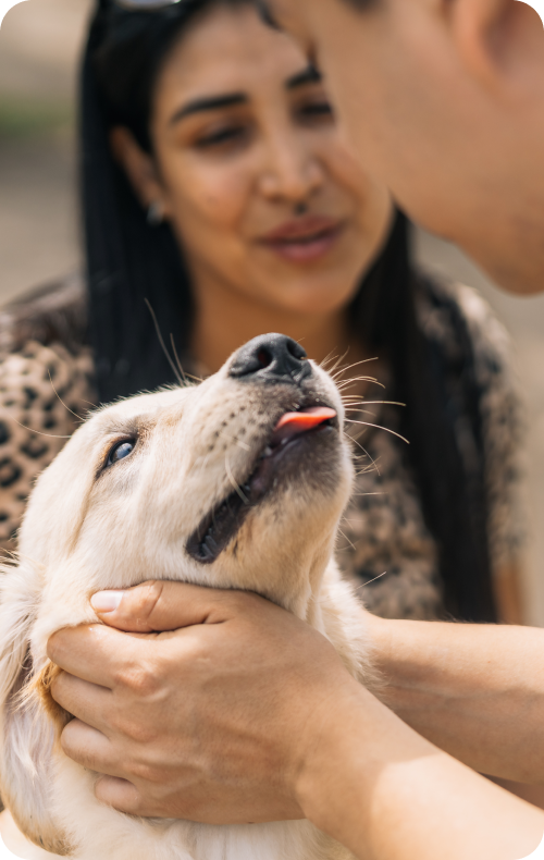 Puppy Food Review By Adrienn Remenyi