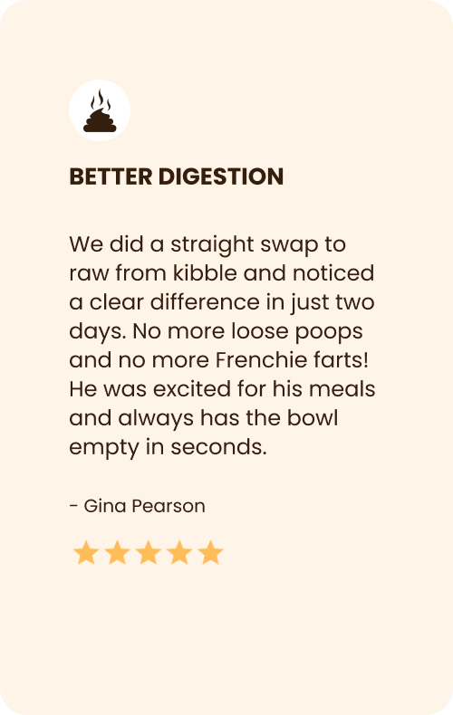Dog Meal Review