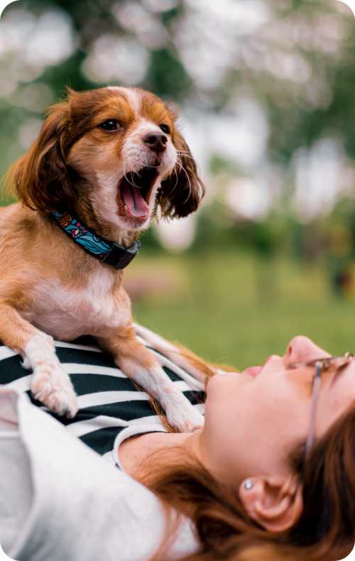 Dog Meal Review By Gina Pearson