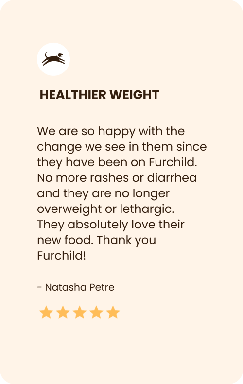 Healthy Weight Dog Food Review